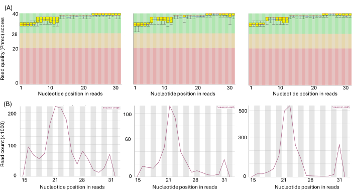 figure-results-5 Nucleotide position vs. quality scores and read counts; statistical analysis; sequencing data comparison.