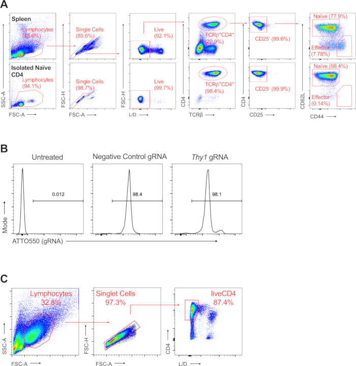 figure-results-3 Flow cytometry analysis; CD4 T-cell gating and histogram of ATTO550-labeled gRNA transfection efficiency.