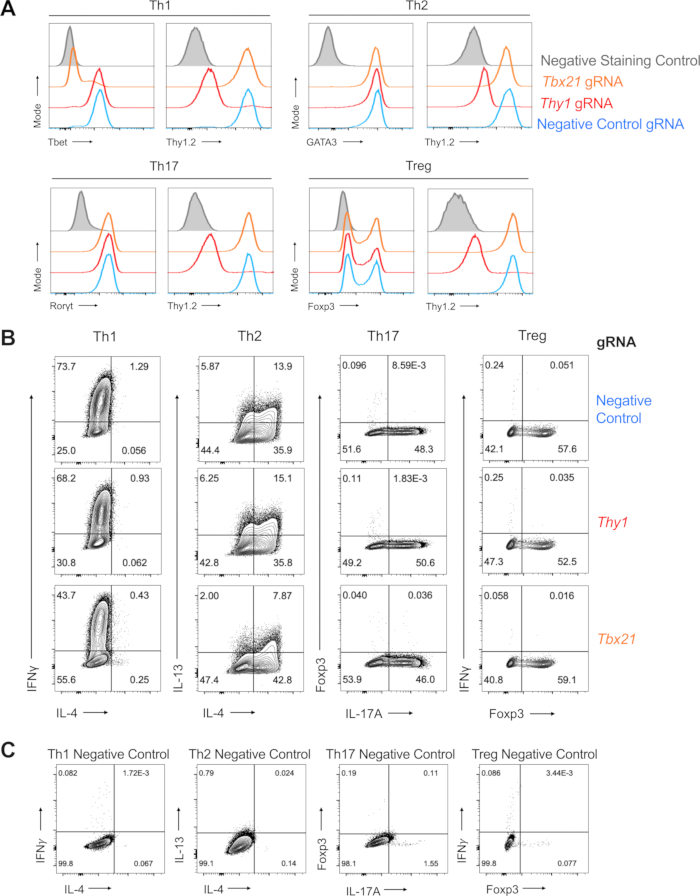 figure-results-4 Flow cytometry analysis showing expression profiles for Th1, Th2, Th17, Treg with gRNA controls.