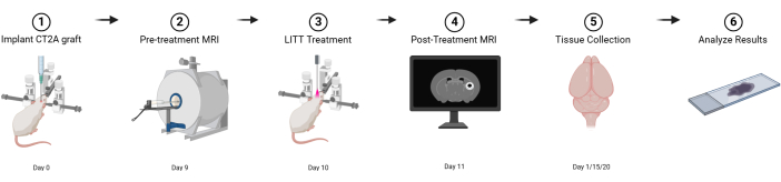 CT2A graft treatment process, LITT method diagram, MRI imaging, tissue analysis sequence