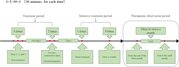 figure-results-3 Treatment schedule flowchart showing frequency and phases over months for therapy sessions.