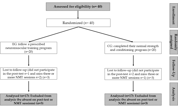 Flowchart of randomized control trial; neuromuscular training vs. strength program analysis.