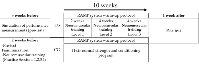 Training protocol timeline, RAMP system, neuromuscular levels, pre-test to post-test, 10 weeks.