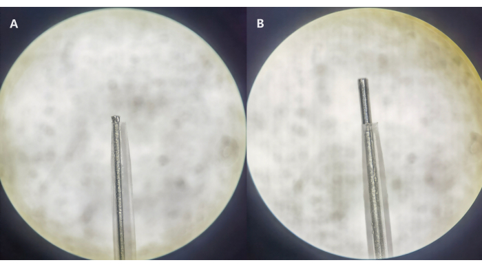 figure-results-7 Microscopy image showing fiber optic probe tip differences for spectroscopic measurement analysis.