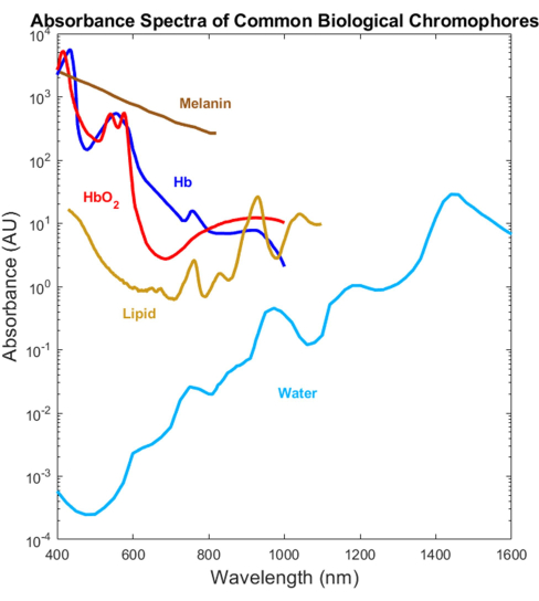 figure-results-1 Absorbance spectra of biological chromophores, graph comparing melanin, HbO2, Hb, lipid, water.