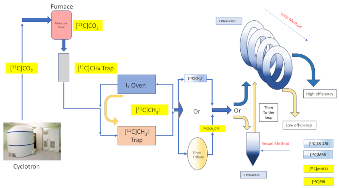 figure-introduction-1 figure-introduction-1