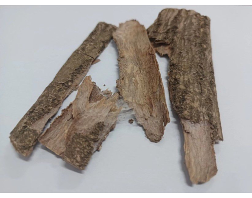 figure-results-1 Bark sample for plant anatomy analysis; potential use in botanical research or chemical extraction.