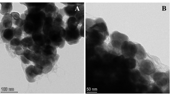 figure-results-4 Transmission electron microscopy images, nanoparticle analysis, A and B, 100 nm, 50 nm scale, material structure.