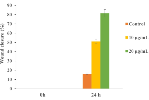 figure-results-7 Bar graph showing wound closure percentage at 0h and 24h for control, 10 µg/mL, 20 µg/mL.
