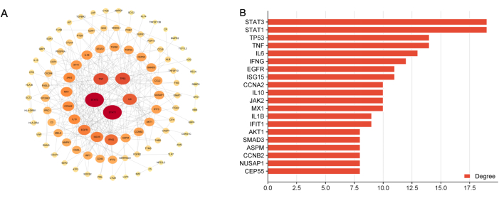 figure-results-4 Gene interaction network diagram and degree centrality bar chart showing key node relationships.