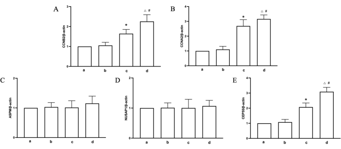 figure-results-8 Bar graph measuring CD163, CD206, Arg1, NLRP3, GSDES via actin; comparative data analysis.