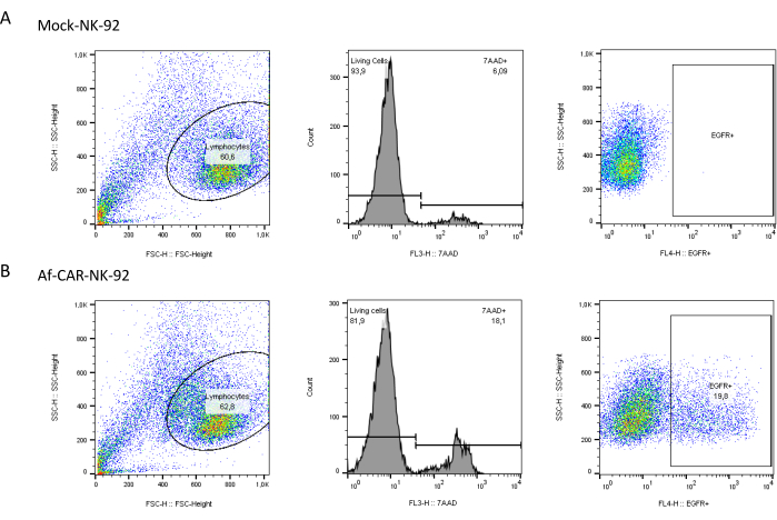 Flow cytometry dot plots analyzing cell populations; SSC-H vs. FSC-H and fluorescence histograms.