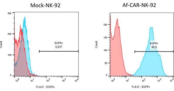 Flow cytometry result, EGFR+ expression in NK-92 cells; comparison between Mock and Af-CAR-NK-92.