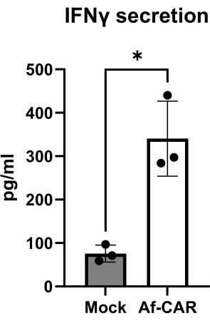 IFNγ secretion bar chart; comparison of Mock vs. Af-CAR; immunological experiment results.
