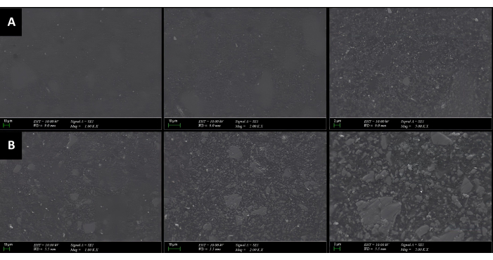 Electron microscopy image showing surface morphology; six panels; microstructural analysis; magnifications.