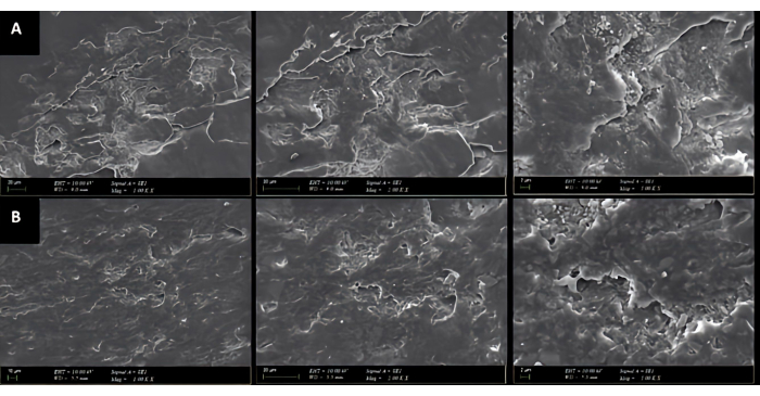 Scanning electron microscopy images of fiber texture and structure analysis, showing surface morphology.