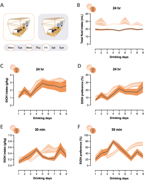 Drinking behavior analysis, 24hr/30min, graphs of fluid/EtOH intake, preference over days, diagram.