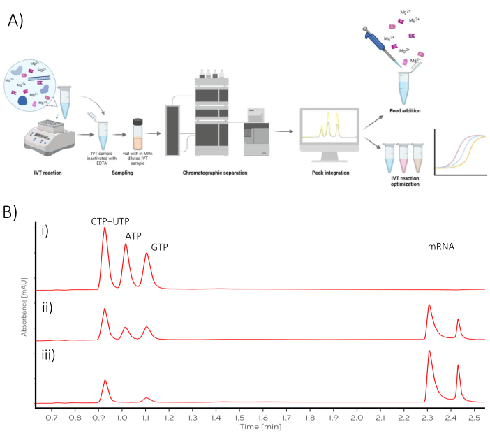IVT reaction setup and chromatographic separation diagram; shows mRNA synthesis peaks on graph.