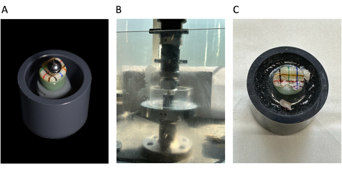Optical study setup for stress analysis; includes equipment details and deformation results.
