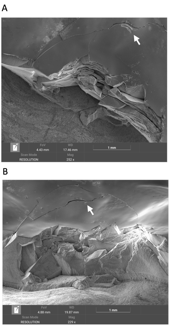 Fracture analysis via scanning electron microscopy; SEM images of material surface cracks.