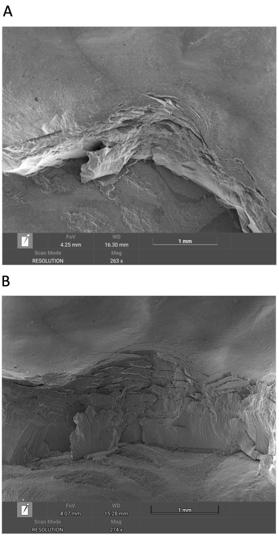 Scanning electron microscope images show cracked surface morphology, highlighting texture and structure.