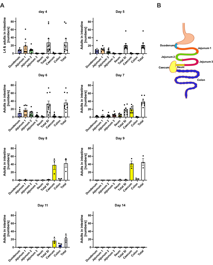 figure-results-3