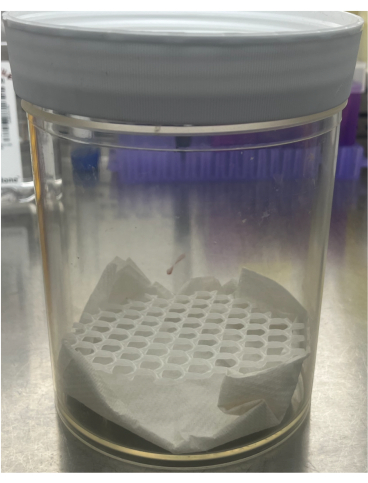 Sample storage jar with a 96-well plate for chemical experiment setup in laboratory setting.