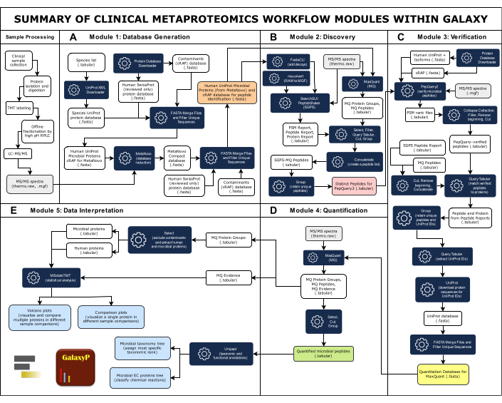 Clinical metaproteomics workflow diagram; database generation, discovery, verification, quantification.
