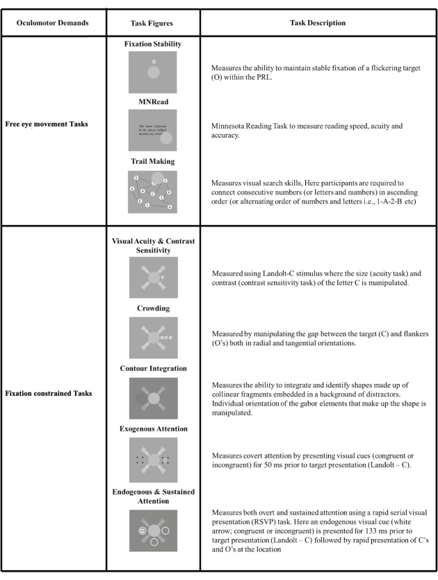 Oculomotor demand table: Free eye movement and fixation tasks, visual skills, attention, and sensitivity.