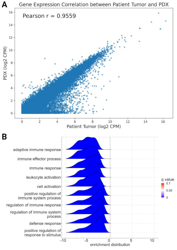 figure-results-4 Gene expression diagram; Pearson correlation; enrichment distribution; immune response analysis.