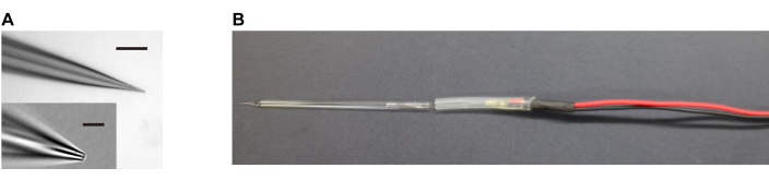Micropipette fabrication process; microscopy image, electrode probe setup for electrophysiology studies.