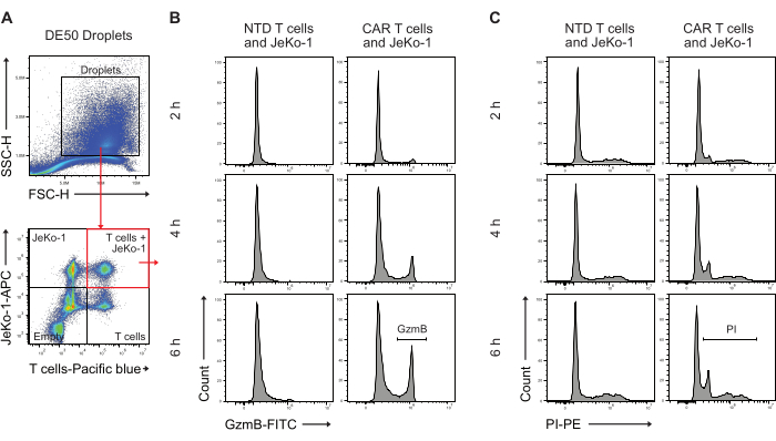 Flow cytometry method diagram analyzing T cells, showing droplet isolation and FITC, PE staining.