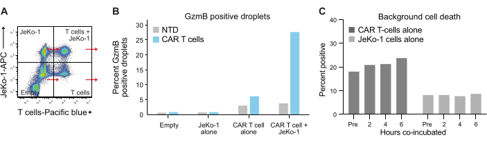 CAR T cell data analysis, GzmB droplet graph, cell death chart, cytotoxicity measurement.