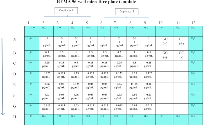 REMA 96-well microplate template; dilution series; experimental layout; drug testing setup.