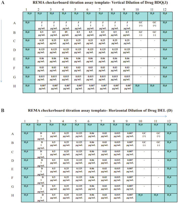 REMA checkerboard titration assay diagram showing drug BDQ vertical and DEL horizontal dilutions.