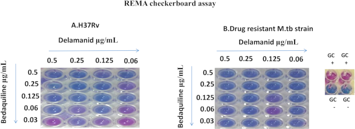 REMA checkerboard assay diagram; antibiotic interaction results in microtiter plates for M.tb strains.
