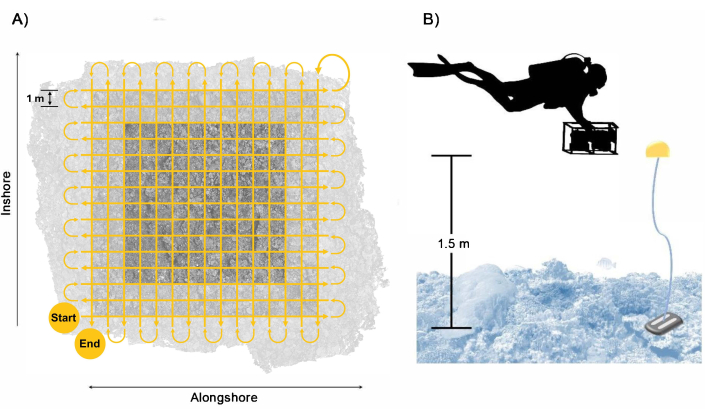 Underwater mapping diagram with grid layout and diver setup for coastal survey analysis measuring 1 m and 1.5 m.