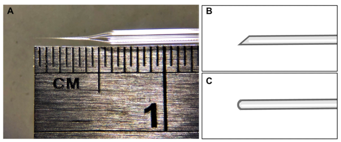 Microcapillary setup for precision measurements; diagram shows tip structure and scale in centimeters.