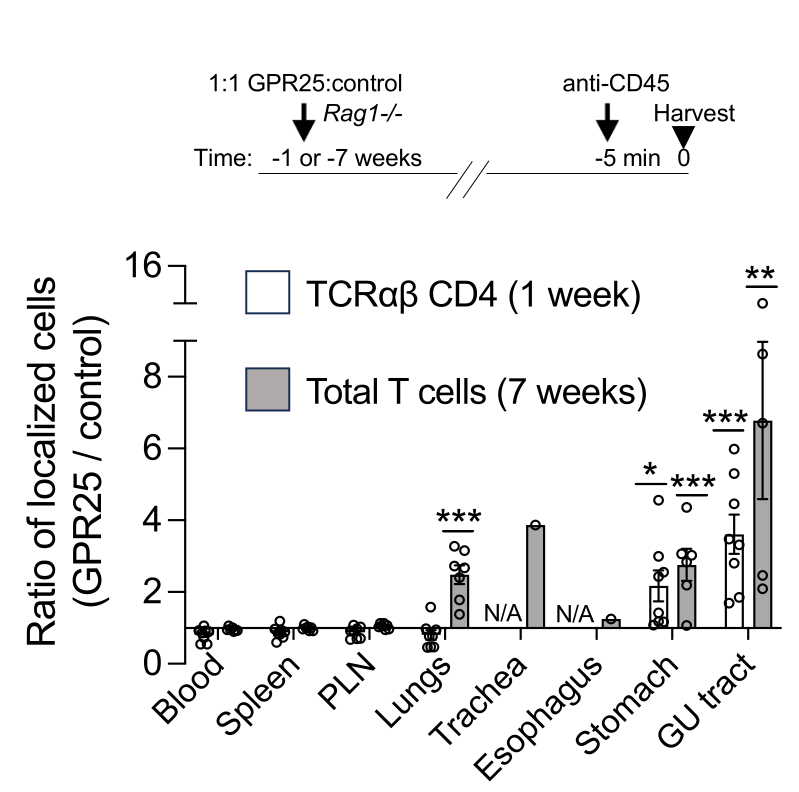 Efficient Retroviral Transduction and Competitive Homing for ...