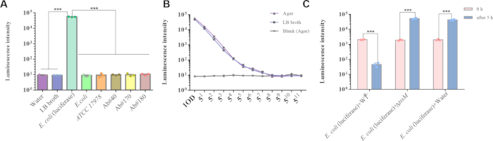 figure-results-3 Bar and line graphs of luminescence intensity in bacterial cultures, comparing various conditions.