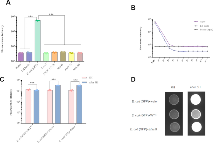 figure-results-4 Fluorescence intensity graphs and bacterial growth assay results for E. coli experiment analysis.