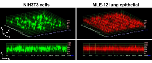 figure-results-3 <div alt="figure-results-3"></div>
