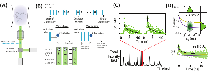 figure-results-19 Optical setup diagram for excitation laser, photon detection, and transient absorption spectroscopy.