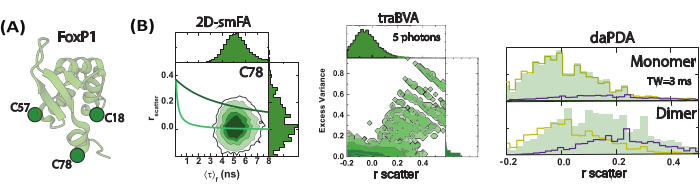 figure-results-23 Protein structure with mutation sites (C57, C18, C78); 2D-smFA, traBVA, daPDA data analysis diagrams.