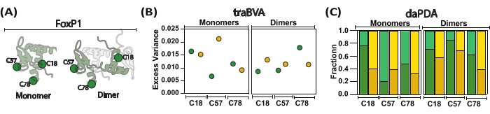 figure-results-24 Protein structure analysis, data charts for monomers vs. dimers; variance analysis in biomolecules.