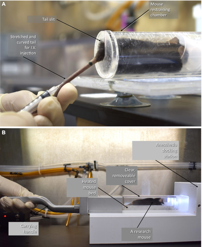 Retrospective Cardiac Gating with A Prototype Small-Animal X-ray ...
