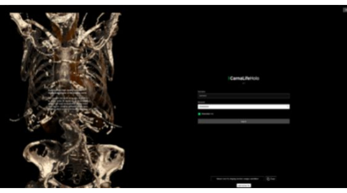 figure-results-4 CT scan visual, 3D anatomy rendering, skeletal structure; medical imaging technique analysis.