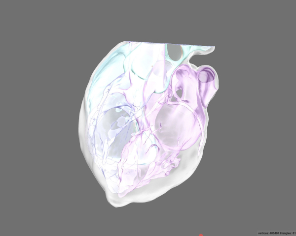 figure-results-9 Human heart anatomical diagram; depicts structure, colorized visualization for educational purpose.