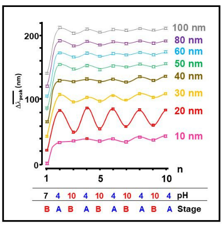 figure-results-3 Graph depicting pH-dependent nanoparticle behavior at varying sizes (10-100nm), showcasing cyclic stages.
