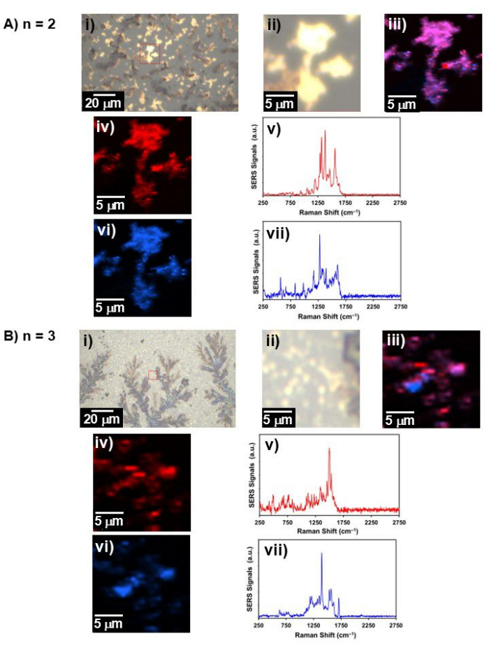figure-results-8 Raman spectroscopy SERS analysis, microstructures, and spectra, diagram showing data results.